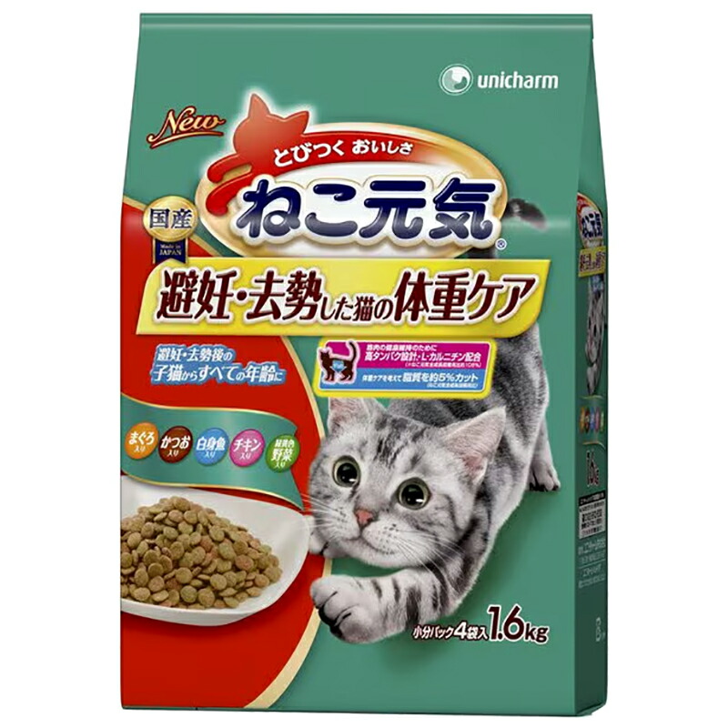 キャットフード KUMA キャットフード（ドライ）|ホームセンター通販はDCMオンライン
