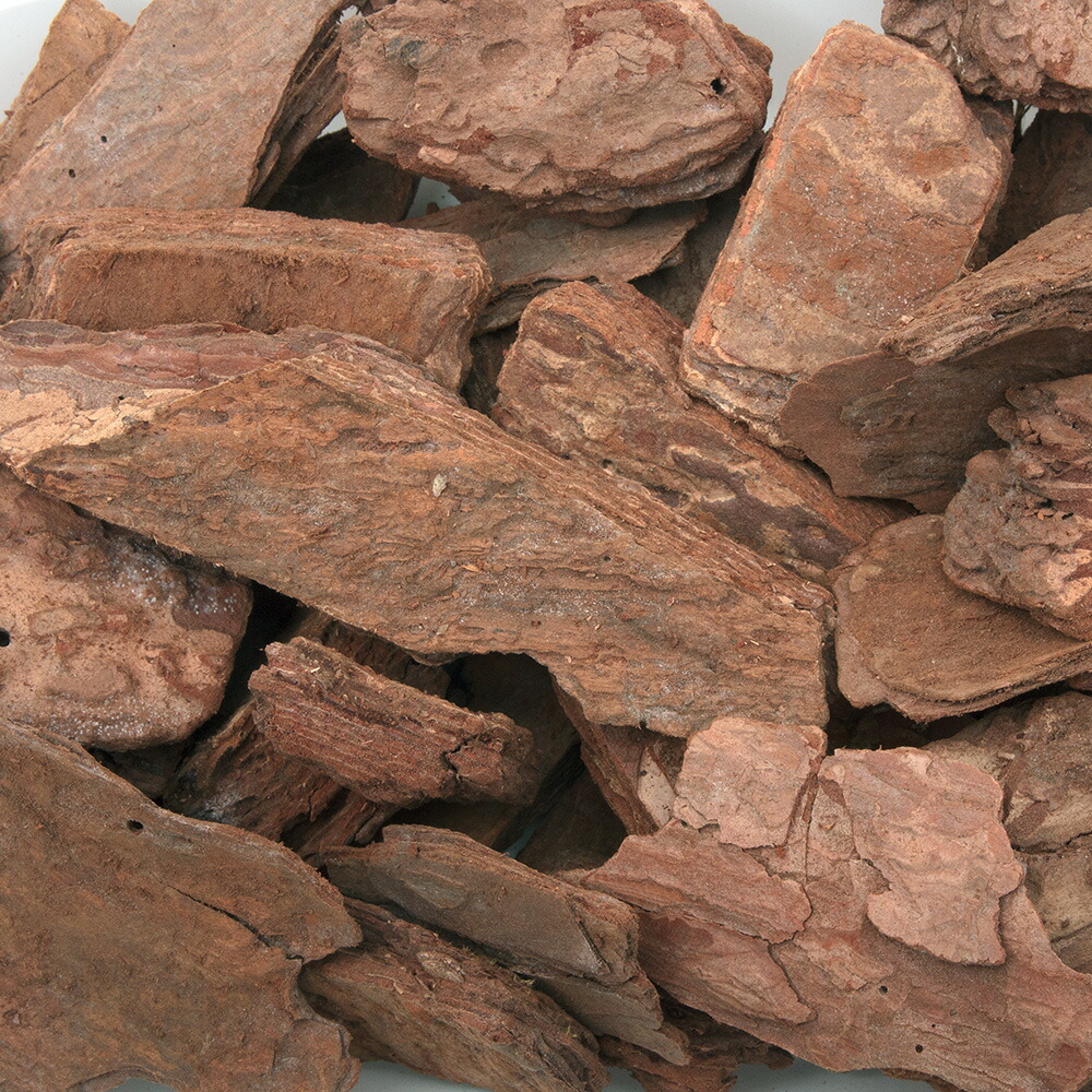 楽天市場 デコレーションバーク ｌサイズ ２０ｌ 黒松タイプ お一人様３点限り 関東当日便 Charm 楽天市場店