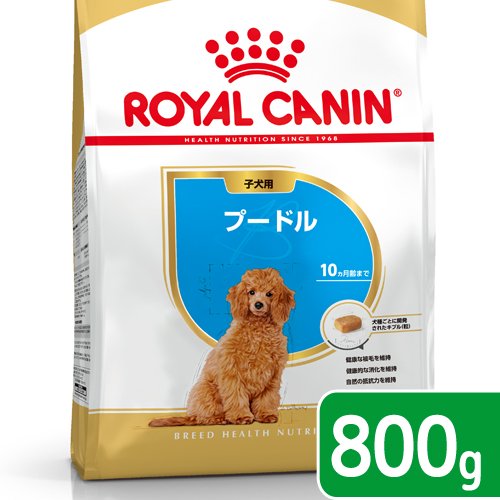  CANIN プードル ドッグフード 15kg 61kiRT+yfBL._UF350,350_QL50_.jpg