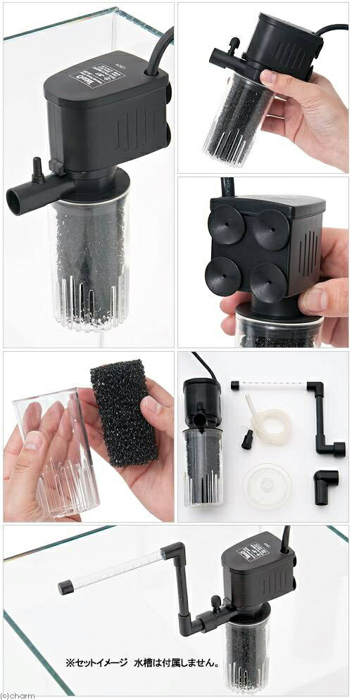 楽天市場 テトラ インターナルパワーフィルター ｉｎ ６０ 水中フィルター 約３２０ｌ 時 関東当日便 Charm 楽天市場店