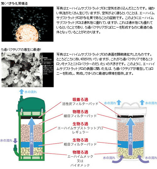 楽天市場 エーハイムサブストラット プロ レギュラー ５ｌ １ｌ ５個 バケツ お一人様２点限り 沖縄別途送料 関東当日便 Charm 楽天市場店