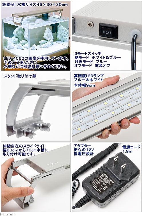 楽天市場 アウトレット品 テトラ ｌｅｄスライドライト ｌｅｄ ６０７０ ６０ｃｍ水槽用照明 熱帯魚 水草 アクアリウムライト 訳あり 関東当日便 Charm 楽天市場店