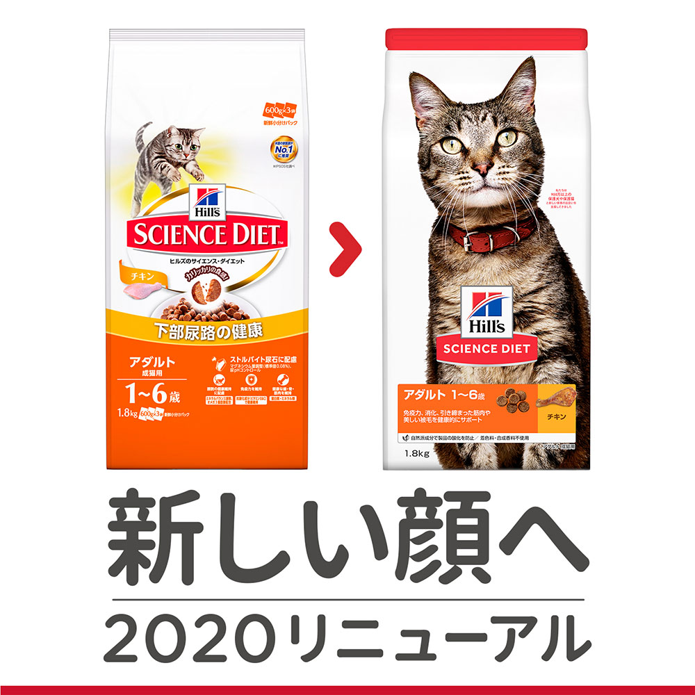 アソート サイエンスダイエット アダルト 2.8kg チキン×1袋&ヘアボールコントロール チキン×1袋 関東当日便 アソート サイエンスダイエット アダルト 2.8kg チキン×1袋&ヘアボールコントロール チキン×1袋 関東当日便