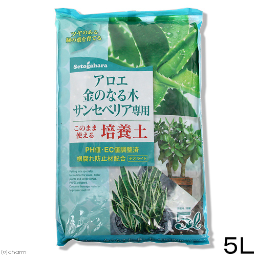 あーちゃん　アロエベラ3個 楽天市場】（多肉植物）アロエ ベラ 3号（3ポット） : charm