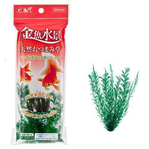 金魚 楽天市場】アウトレット品 GEX 金魚元気キューブセット
