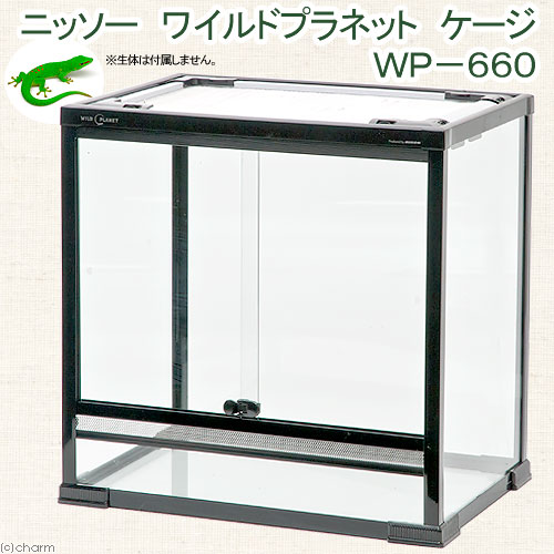 楽天市場 ニッソー ワイルドプラネット ケージ ｗｐ６６０ ６１ ４１ ５ ６０ ５ｃｍ 才数２００ 沖縄別途送料 関東当日便 Charm 楽天市場店