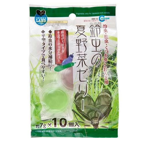 リリィ様お取り置き　9/17まで　ウサギ　レジンヘアゴム　鈴虫の演奏会　澄んだ夜 おきがえ】えっくす☆きゅーと『Star Sprinkles / Moon Rabbit