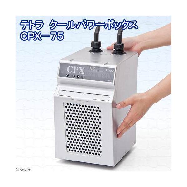 楽天市場 テトラ 水槽用クーラー クールパワーボックス ｃｐｘ ７５ 対応水量２００リットル 沖縄別途送料 関東当日便 Charm 楽天市場店