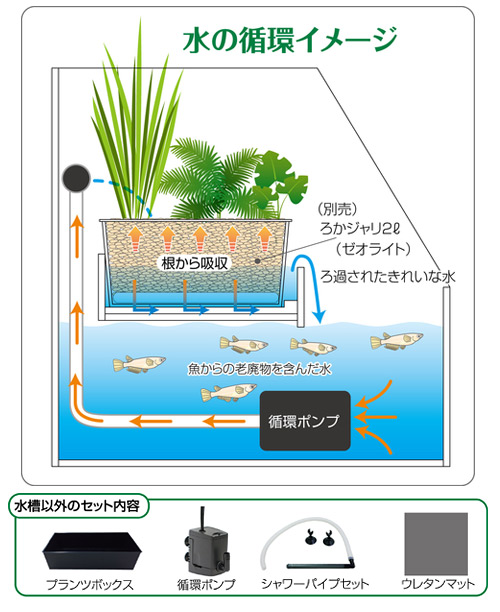 コトブキ工芸 レグラスポニックス300Hセット お一人様1点限り 沖縄別途 コトブキ工芸 レグラスポニックス300Hセット お一人様1点限り 沖縄別途
