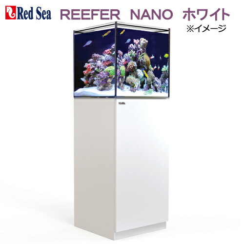 楽天市場】オーバーフロー水槽 レッドシー ＲＥＥＦＥＲ ＮＡＮＯ ブラック ３個口 ４５ｃｍ水槽 関東当日便 : charm 楽天市場店