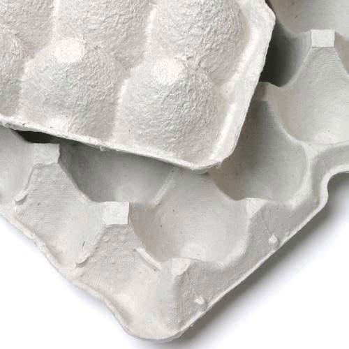 コトブキ工芸マルチケース　爬虫類　飼育ケージ 楽天市場】爬虫類ケージ コトブキ工芸 マルチケース L 爬虫類