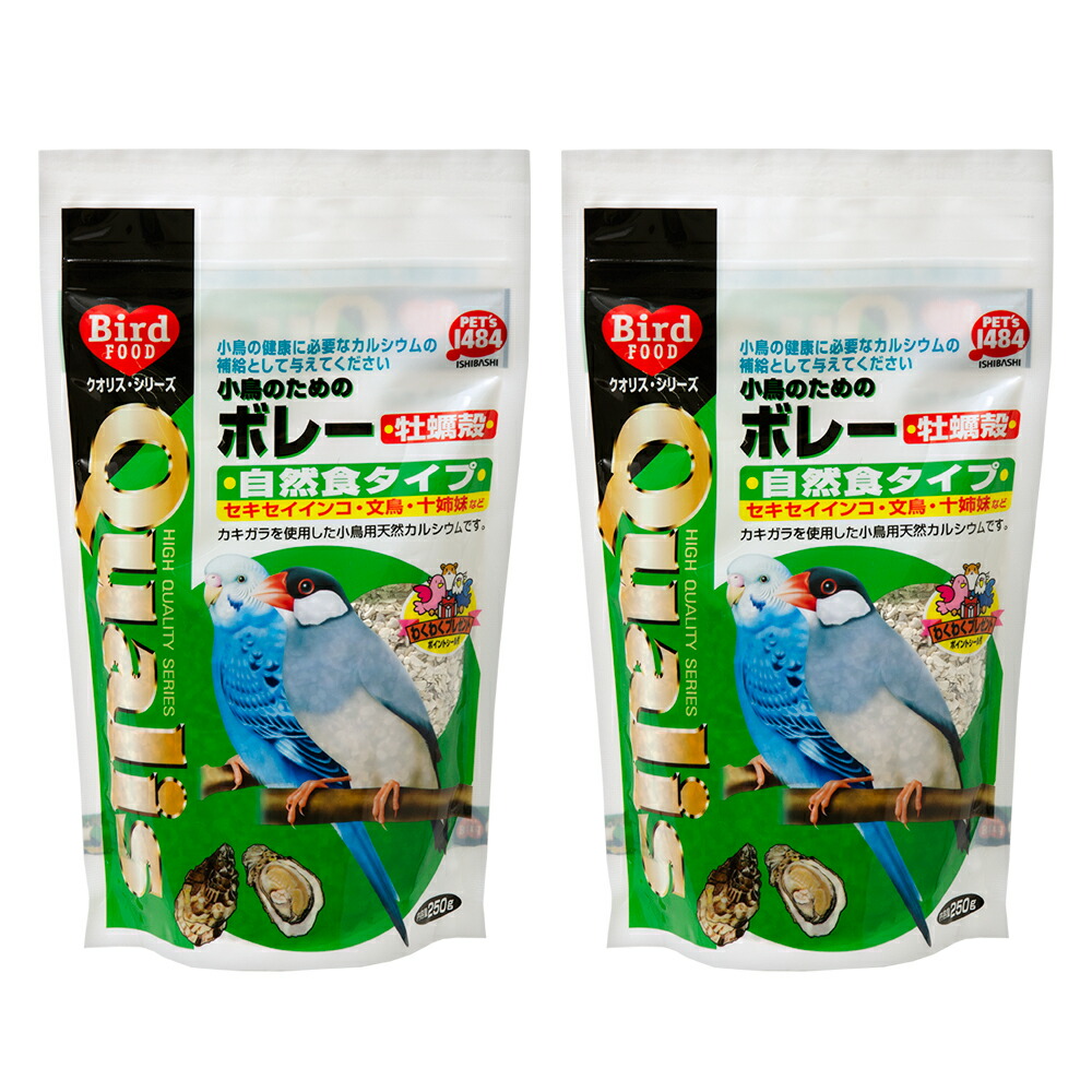 楽天市場】クオリス セキセイインコ老鳥用シニア ４００ｇ 鳥 フード