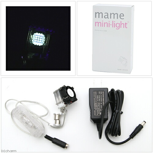 最適な価格 取寄せ商品 マメデザイン マメミニライト １０ｗ ｕｖ ウルトラヴァイオレット ｍａｍｅ ｍｉｎｉ ｌｉｇｈｔ 沖縄別途送料 正規激安 Www Lexusoman Com