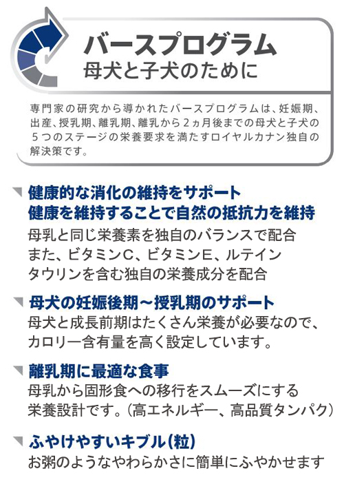 ポイント10倍 ロイヤルカナン ミニ マザー ベビードッグ 小型犬 母犬 子犬用 ３ｋｇ ４袋 沖縄別途送料 ジップ付 関東当日便 第1位獲得 Ihmc21 Com