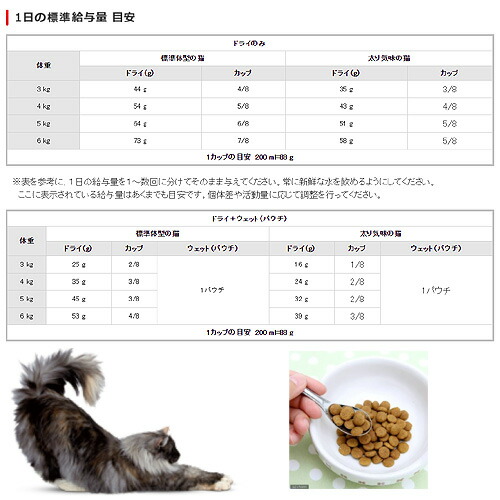 店 睡蓮鉢 メダカ ロイヤルカナン 猫 インドア ロングヘアー 成猫用 ４ｋｇ １箱４袋 沖縄別途送料 ジップ付 関東当日便 Charm 猫用品 21 10 30 消費期限