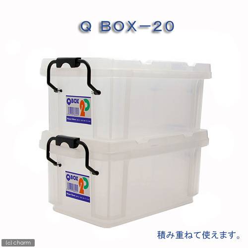 正規店仕入れの ｑｂｏｘ ２０ ２９０ １７０ １３０ｍｍ １０個 クワガタ カブトムシ 飼育ケース コンテナ ボックス ブリード 沖縄別途送料 海外最新 R4urealtygroup Com
