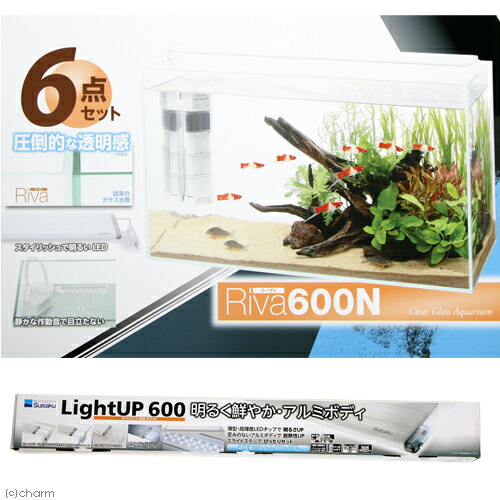 上質で快適 水作 ｒｉｖａ リーヴァ ６００ｎ ６点セット ６０ｃｍ水槽 お一人様１点限り 沖縄別途送料 関東当日便 日本全国送料無料 Lexusoman Com