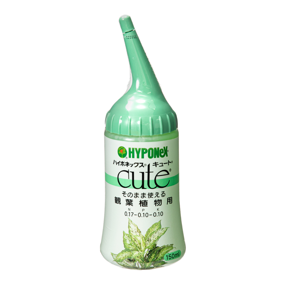 楽天市場 ハイポネックス キュート 観葉植物用 １５０ｍｌ 追肥 化学肥料 液肥 速効性 観葉植物 関東当日便 Charm 楽天市場店