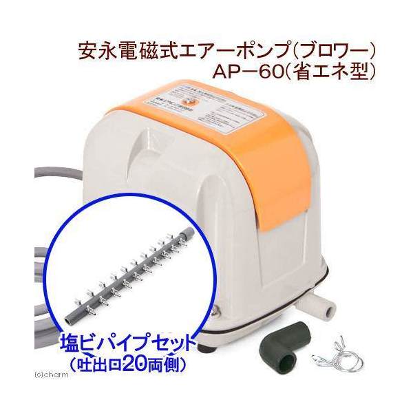 希少 楽天市場 安永電磁式エアーポンプ ブロワー ａｐ ６０ｆ 省エネ型 塩ビパイプ 一方コック付き 吐出口２０ 両側キャップ付き 沖縄別途送料 関東当日便 Charm 楽天市場店 即発送可能 Www Lexusoman Com