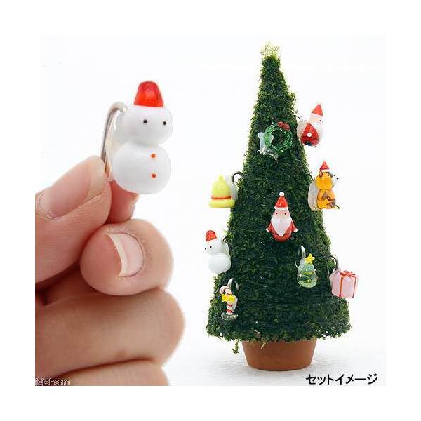 クリスマスモス　200g Tropica Pac クリスマスモス（1パック） : MASUKOSUIKEI - 通販