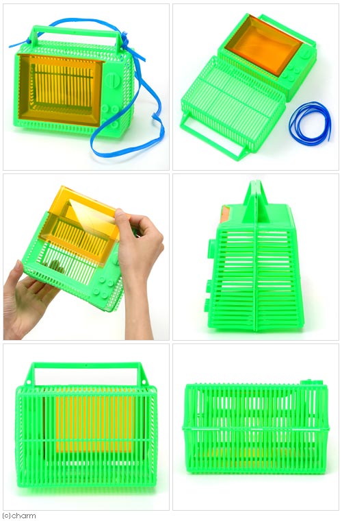 楽天市場 虫かご テレビ 小 昆虫 昆虫採集 関東当日便 Charm 楽天市場店