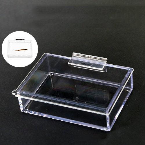 ふぉっとっとFLAT (100×25×70mm) 観察 撮影 ケース 関東当日便 ふぉっとっとFLAT (100×25×70mm) 観察 撮影 ケース 関東当日便