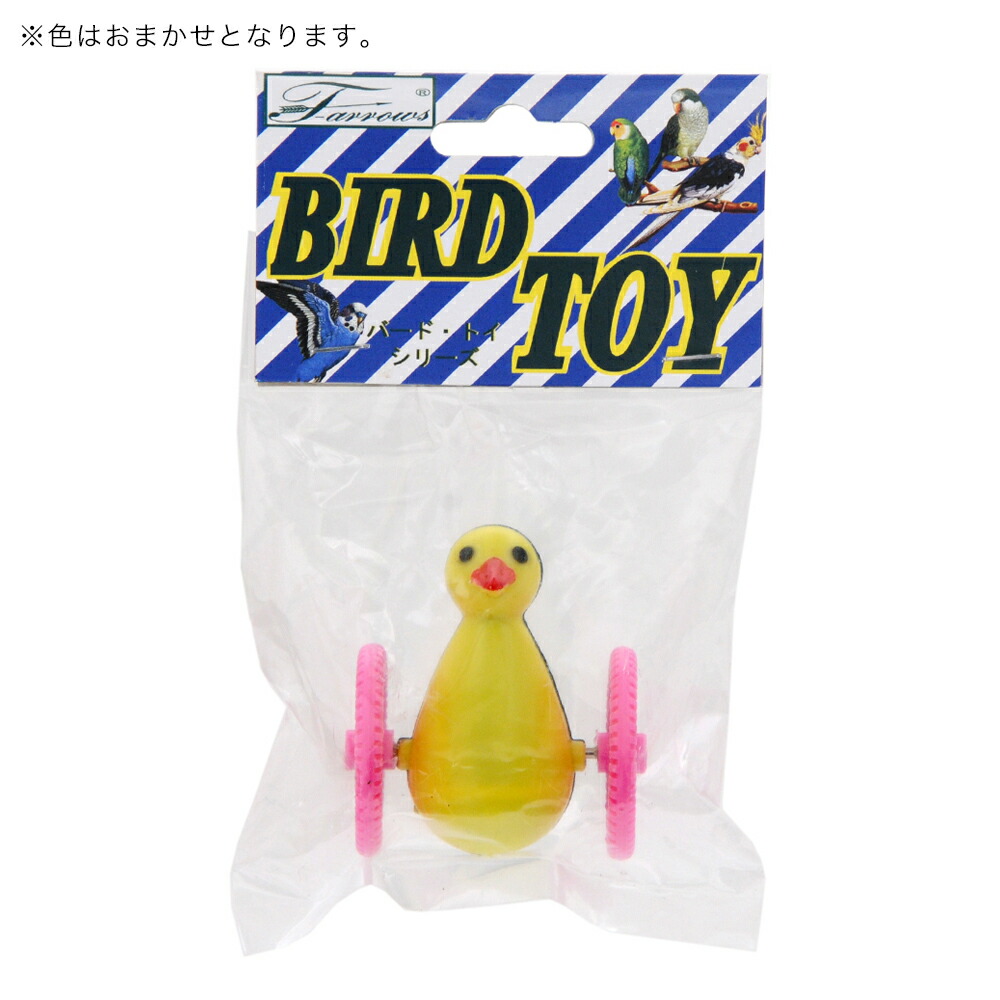 定番の冬ギフト みずよし貿易 ゴーゴーペンギン 色おまかせ 関東当日便 www.ohap.ac.th