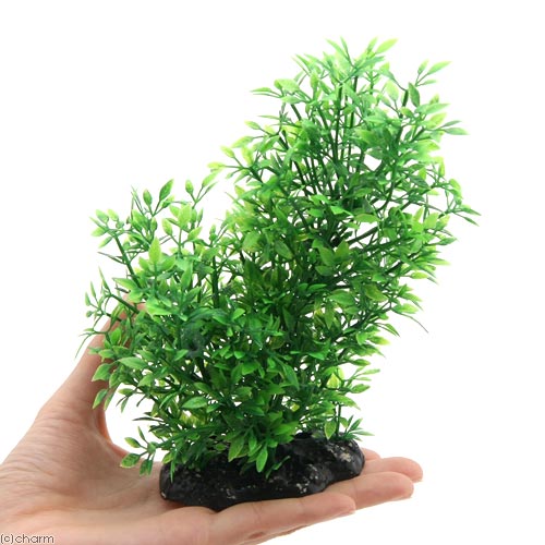 楽天市場 ｇｅｘ 癒し水景 たっぷりロタラ 人工水草 関東当日便 Charm 楽天市場店