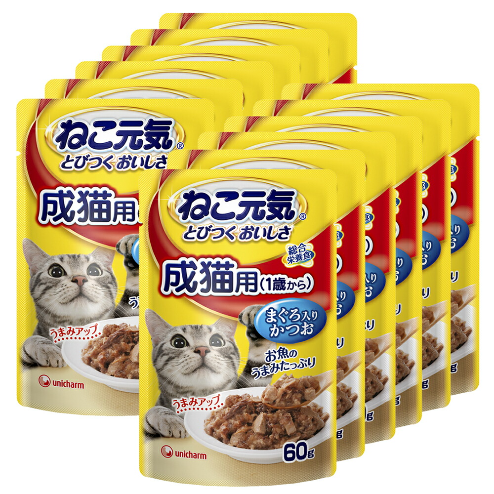 ねこ元気総合栄養食15歳以上まぐろ入りかつお 楽天市場】ねこ元気 総合栄養食 パウチ 15歳以上用 まぐろ入り