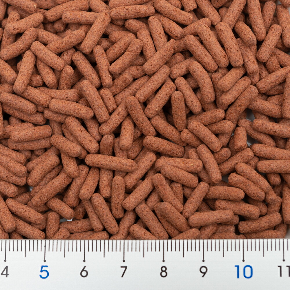 キョーリン ひかりクレスト カーニバル ５３ｇ 大型魚 アロワナ 餌 エサ えさ お一人様３０点限り 関東当日便 熱帯魚・アクアリウム 