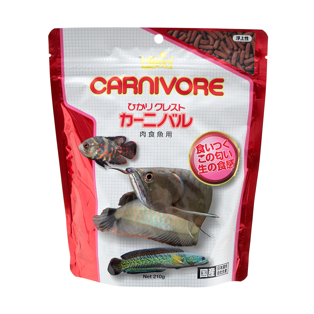 （まとめ買い）イトスイ グッピー・テトラの主食 顆粒タイプ 70g 観賞魚用フード 〔×12〕 