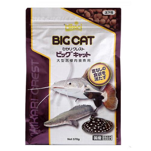 楽天市場 キョーリン ひかりクレスト ビッグキャット ５７０ｇ 大型魚 アロワナ 餌 エサ えさ 関東当日便 Charm 楽天市場店