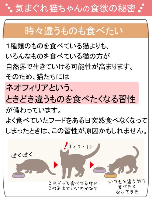 100%品質保証! ロイヤルカナン 猫 インテンスビューティー 成猫用 ８５ｇ ４８袋 沖縄別途送料 ＰＯＭ＿Ｄ お一人様１点限り 関東当日便  newschoolhistories.org