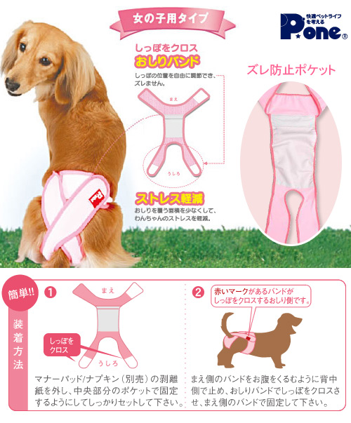 楽天市場 国産 女の子のためのマナーホルダー ３ｌ 犬 ウェア サニタリーパンツ おもらし ペット 関東当日便 Charm 楽天市場店