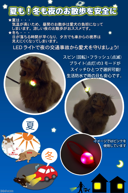 楽天市場 プラッツ フラッシュ グロー セーフティライト ピンク 犬 夜間 散歩用 ｌｅｄ点滅ライト 関東当日便 Charm 楽天市場店