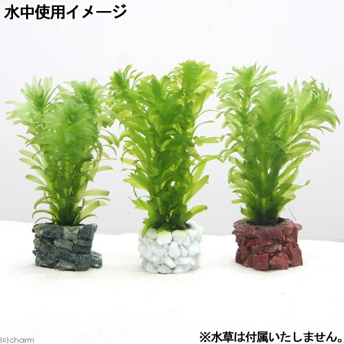 楽天市場 ３色石垣 デコ マルチ 各１個 ライフマルチ 水辺工房 水槽用オブジェ アクアリウム用品 関東当日便 Charm 楽天市場店