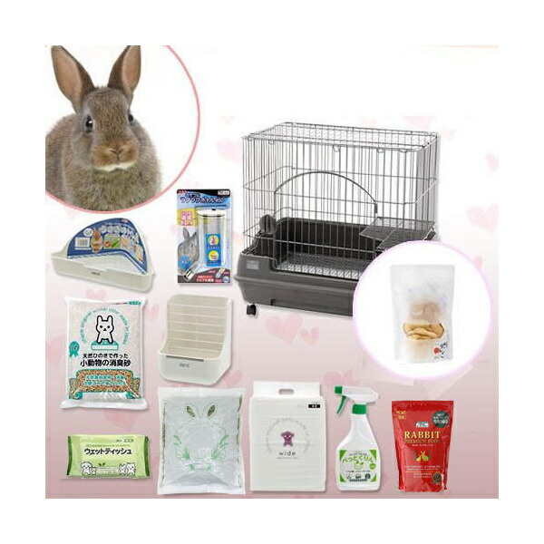 新着うさぎ 飼育 セット 最高の動物画像
