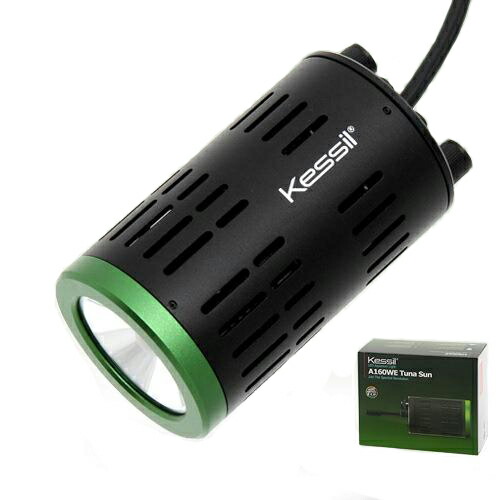 輝く高品質な ｋｅｓｓｉｌ ａ １６０ｗｅ ｔｕｎａ ｓｕｎ 水槽用照明 ｌｅｄライト 熱帯魚 水草 沖縄別途送料 関東当日便 期間限定送料無料 Lexusoman Com