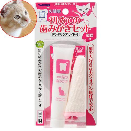 楽天市場 トーラス 初めての歯みがきセット 愛猫用 21g 関東当日便 Charm 楽天市場店 楽天市場 トーラス 初めての歯みがきセット 愛猫用 21g 関東当日便 Charm 楽天市場店