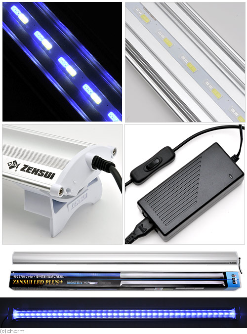 【楽天市場】ゼンスイ LED PLUS 120cm シャイニングブルー アクアリウム 水槽ライト 沖縄別途送料 関東当日便：charm 楽天市場店