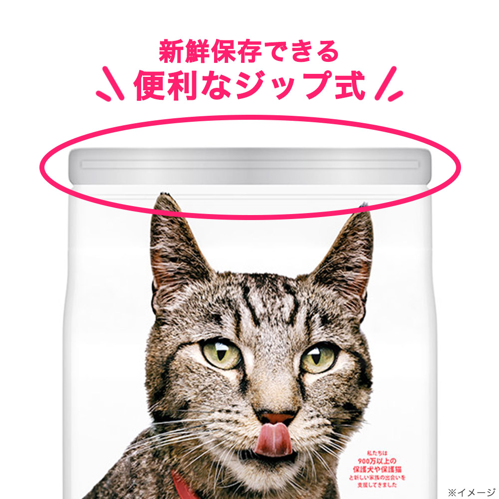 楽天市場 ヒルズ サイエンス ダイエット キャットフード シニア １４歳以上 高齢猫用 チキン １ ８ｋｇ 腎臓と下部尿路の健康を維持 関東当日便 Charm 楽天市場店