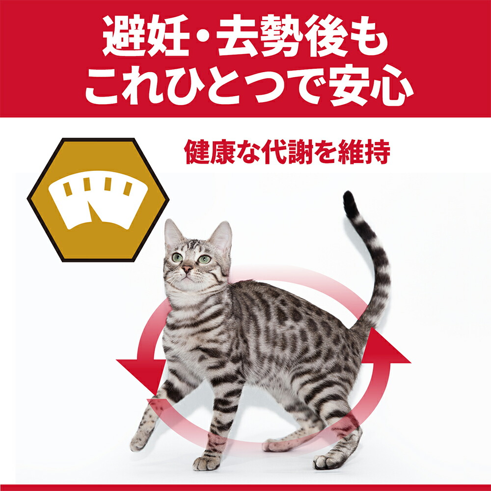 楽天市場 ヒルズ サイエンス ダイエット プロ キャットフード 健康ガード 避妊 去勢 避妊 去勢後 ３ｋｇ 関東当日便 Charm 楽天市場店