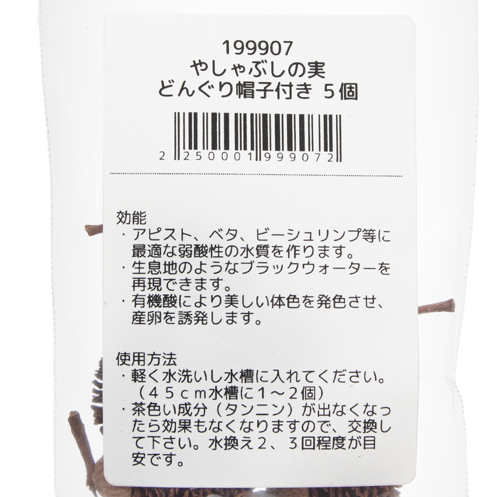 楽天市場 やしゃぶしの実 どんぐり帽子付き ５個 ベタ ビーシュリンプ 関東当日便 Charm 楽天市場店