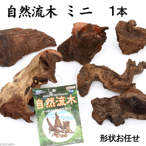 楽天市場】形状お任せ 自然流木 中（約20cm〜） 1本