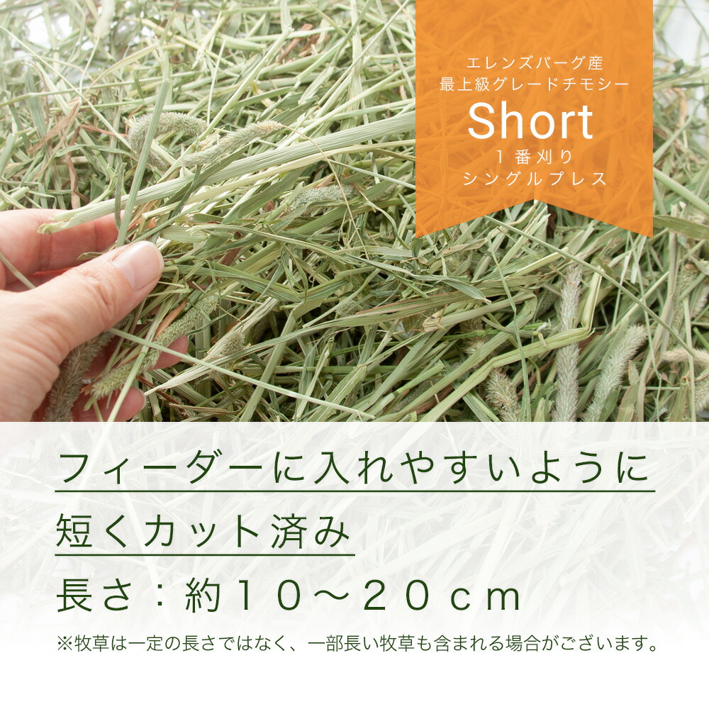 26年度スーパープレミアムホースチモシーショート500g+27年度にんじん50gお買得セット【HLS_DU】関東当日便
