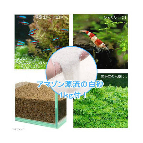 楽天市場 水草とシュリンプの土 こげ茶 １０ｋｇ 約９リットル ノーマルタイプ 熱帯魚 用品 ソイル お一人様２点限り 関東当日便 Charm 楽天市場店