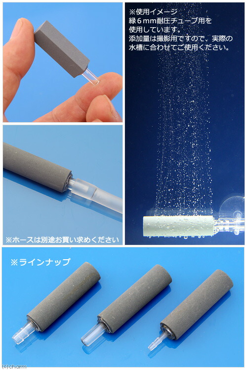 楽天市場 ｃｏ２拡散器 コケが目立ちにくいｃｏ２ストーン 黒 丸型 ６ｍｍシリコンチューブ対応 関東当日便 Charm 楽天市場店