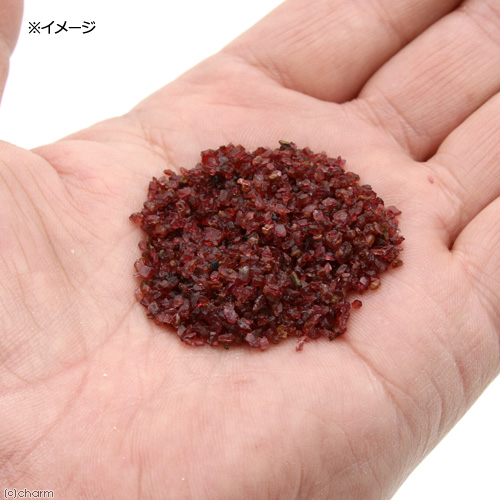 楽天市場 ｆｆ ｎｕｍ２００ ナマズ 大型肉食熱帯魚用タブレット 沈下性 ３００ｇ ｎｏ ８４ ｇａｒｎｅｔ ガーネット １ｌセット お一人様１２点限り 関東当日便 Charm 楽天市場店