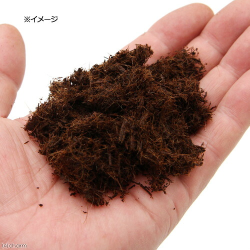 楽天市場 天然樹皮培養土 クリプトモス ｓサイズ ８ｌ 野菜 イチゴ用 関東当日便 Charm 楽天市場店