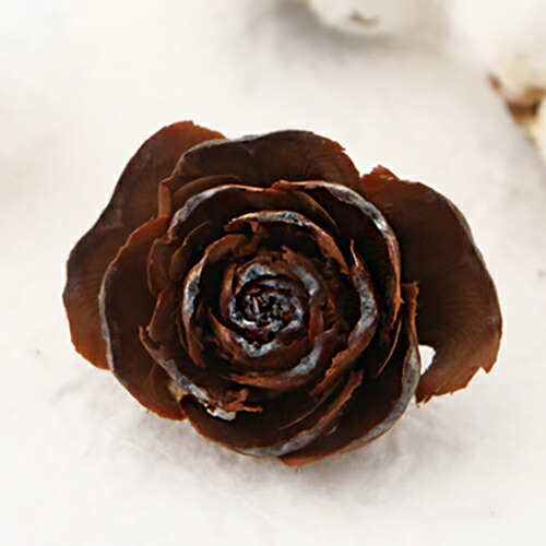 楽天市場】シダーローズ（ヒマラヤ杉の実）1個 クリスマス 木の実